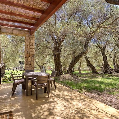 Stonehouse In Olives Apartment Ulcinj Exterior photo