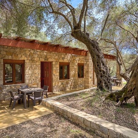 Stonehouse In Olives Apartment Ulcinj Exterior photo