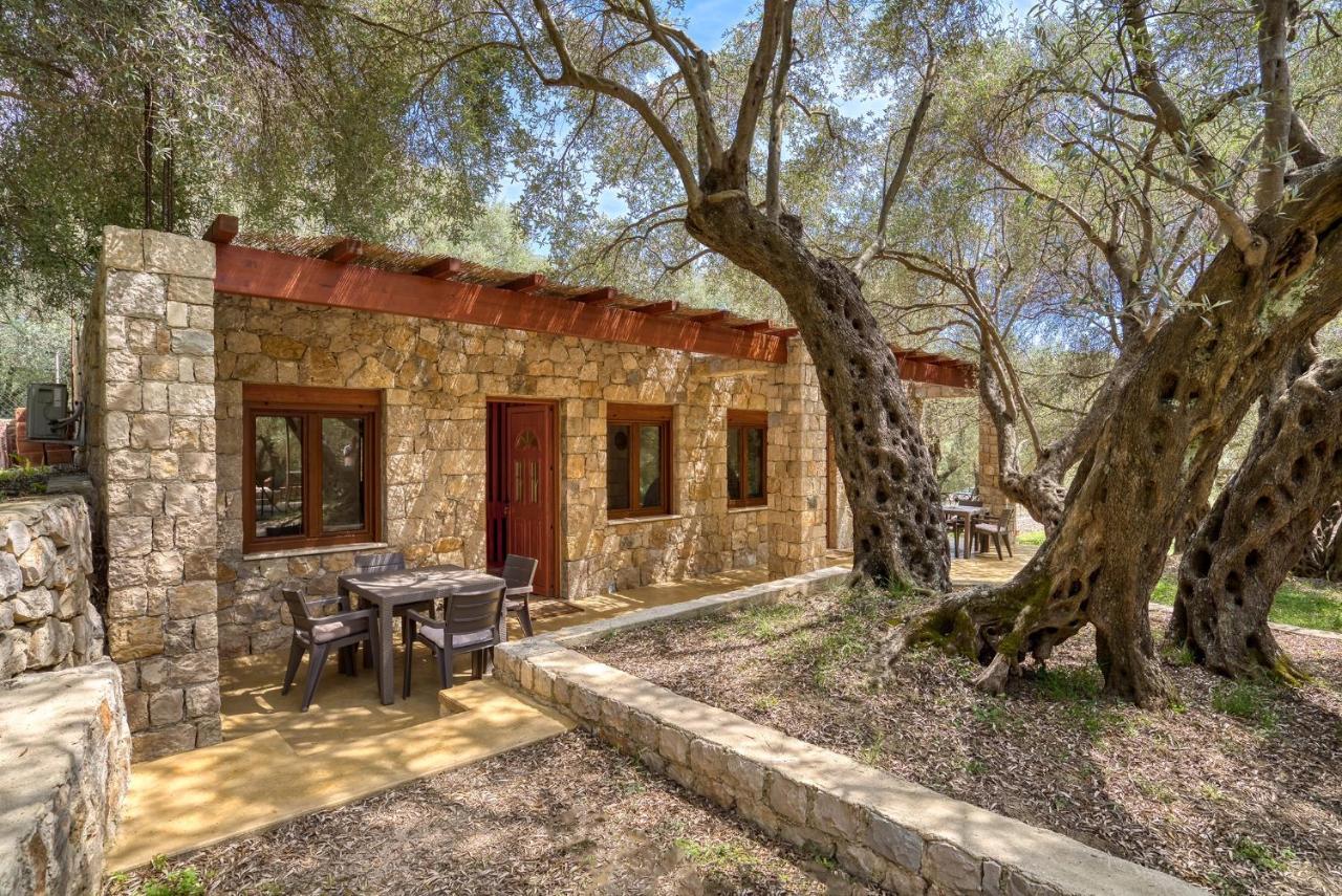 Stonehouse In Olives Apartment Ulcinj Exterior photo