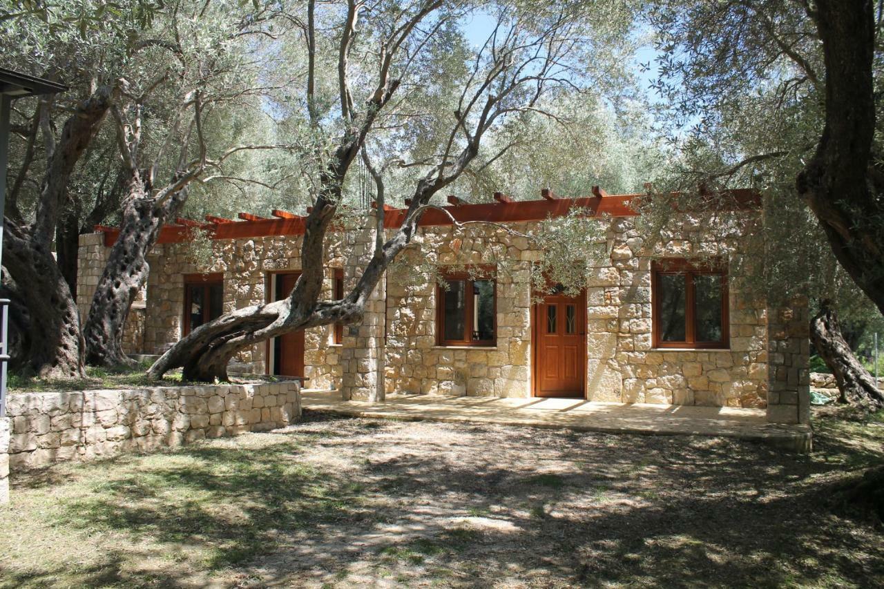 Stonehouse In Olives Apartment Ulcinj Exterior photo